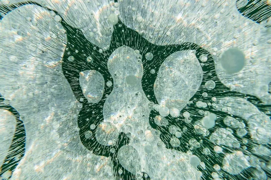 北海道的雪有多美,北海道到底有多吸引人