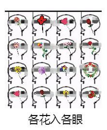 广东粤语什么意思啊,老广东才懂的粤语梗