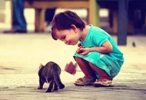 言语功能训练小游戏有哪些 (言语小游戏)