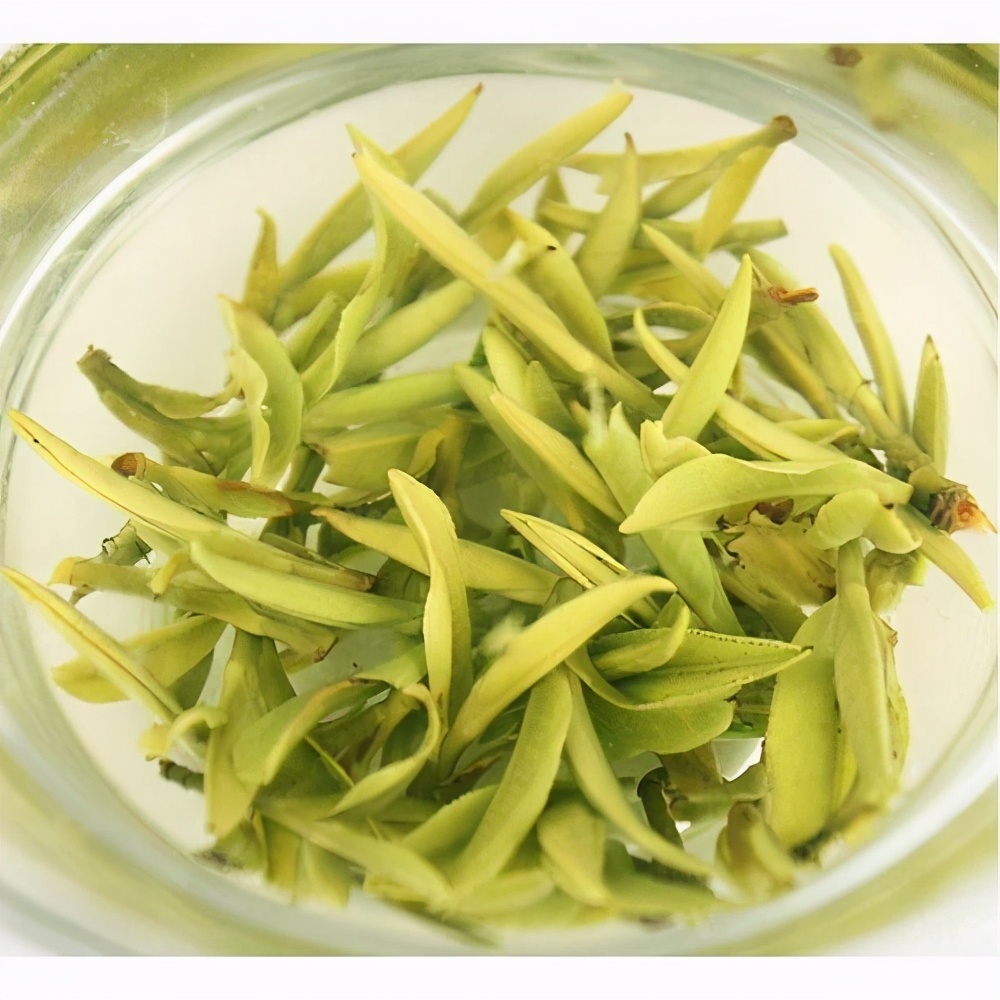 岕茶非遗,冠绝天下西湖龙井