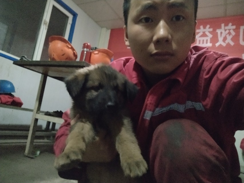 我在新疆生活的经历,我在新疆打工的日记