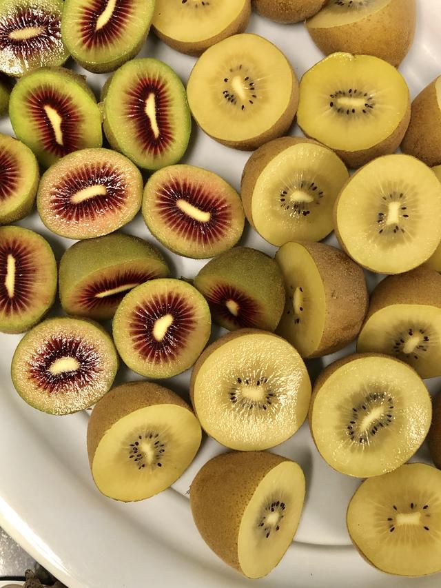 原产于中国乳名鹅莓的土货，被新西兰的土壤孕育成了国际巨星