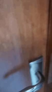 二胎家庭鄙视链图,生儿子好还是女儿好真实想法