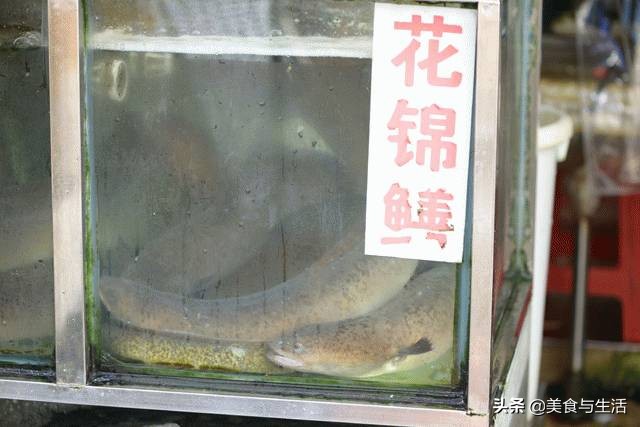 中国十大顶级大型海鲜市场在哪里,全国各大海鲜市场现状