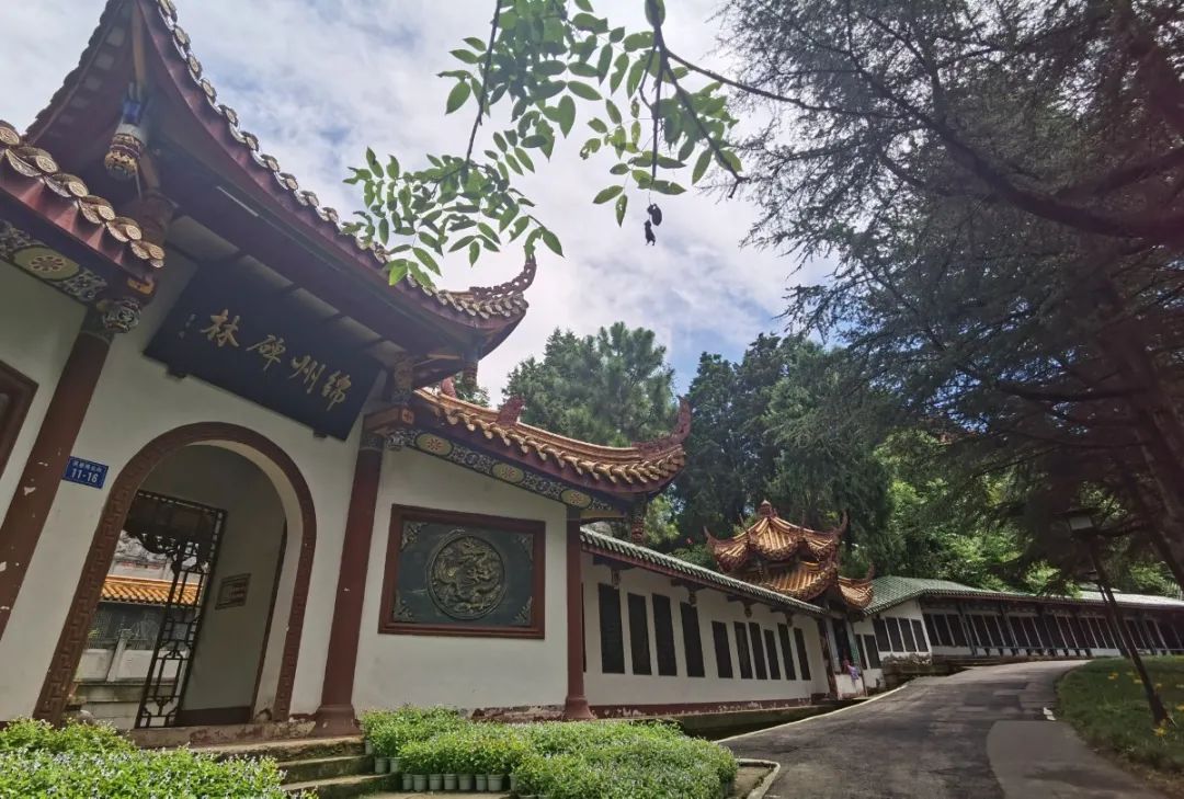 登上富乐山山顶看绵阳美景,登高赏菊富乐山