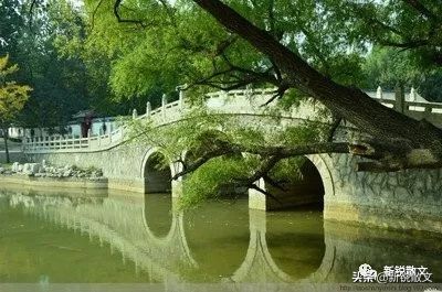 最忆是青州：来这里，吹宋朝的风、沐宋朝的雨，感受大宋的气韵