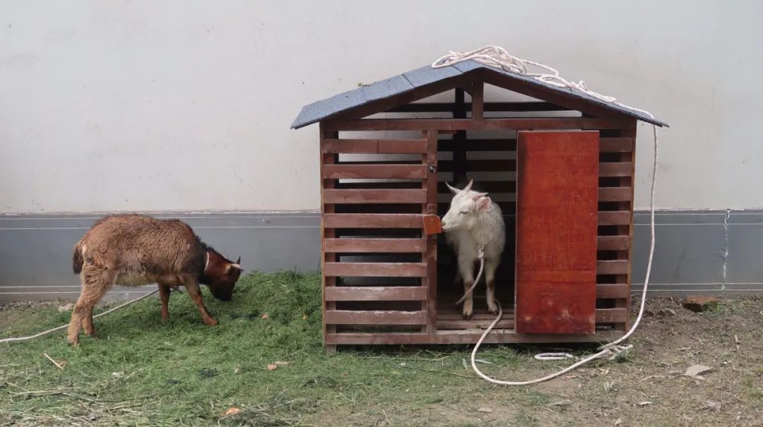 未来的杭州西湖,浙江杭州新西湖