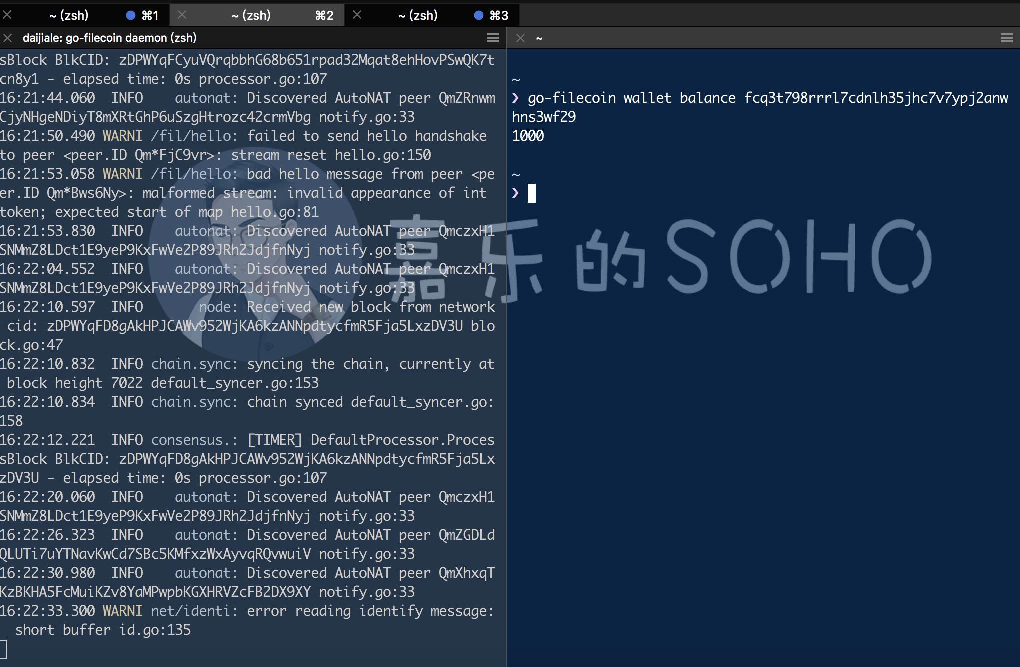 filecoin集群策略,filecoin集群节点示意图