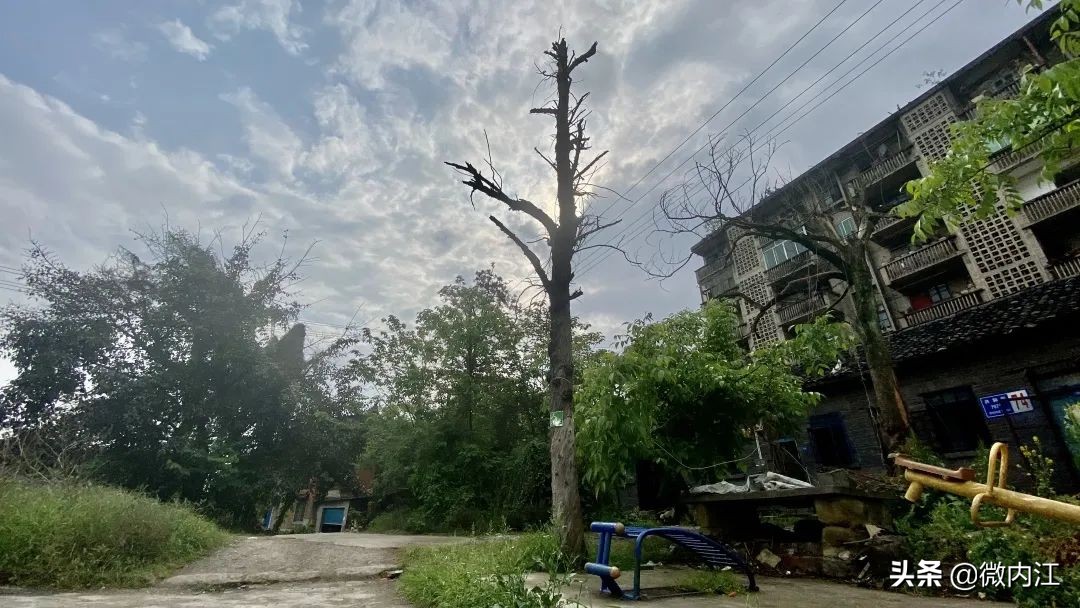 你好四川完整版,你好四川录音