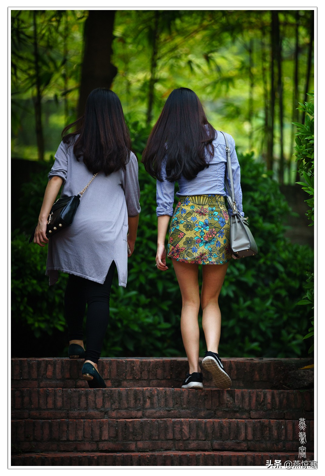 盘点一下我这些年用过的相机,回顾我用过的数码相机