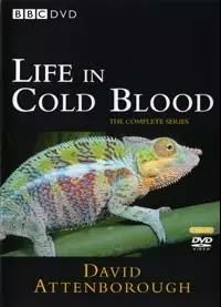 大卫爱登堡为地球发声的纪录片,大卫爱登堡纪录片七个星球