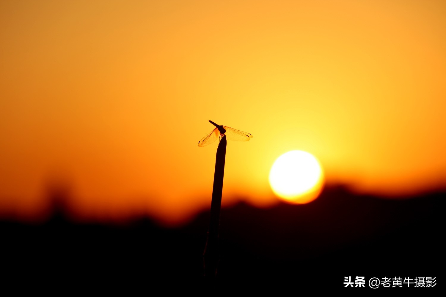 湖北京山摄影,京山摄影作品