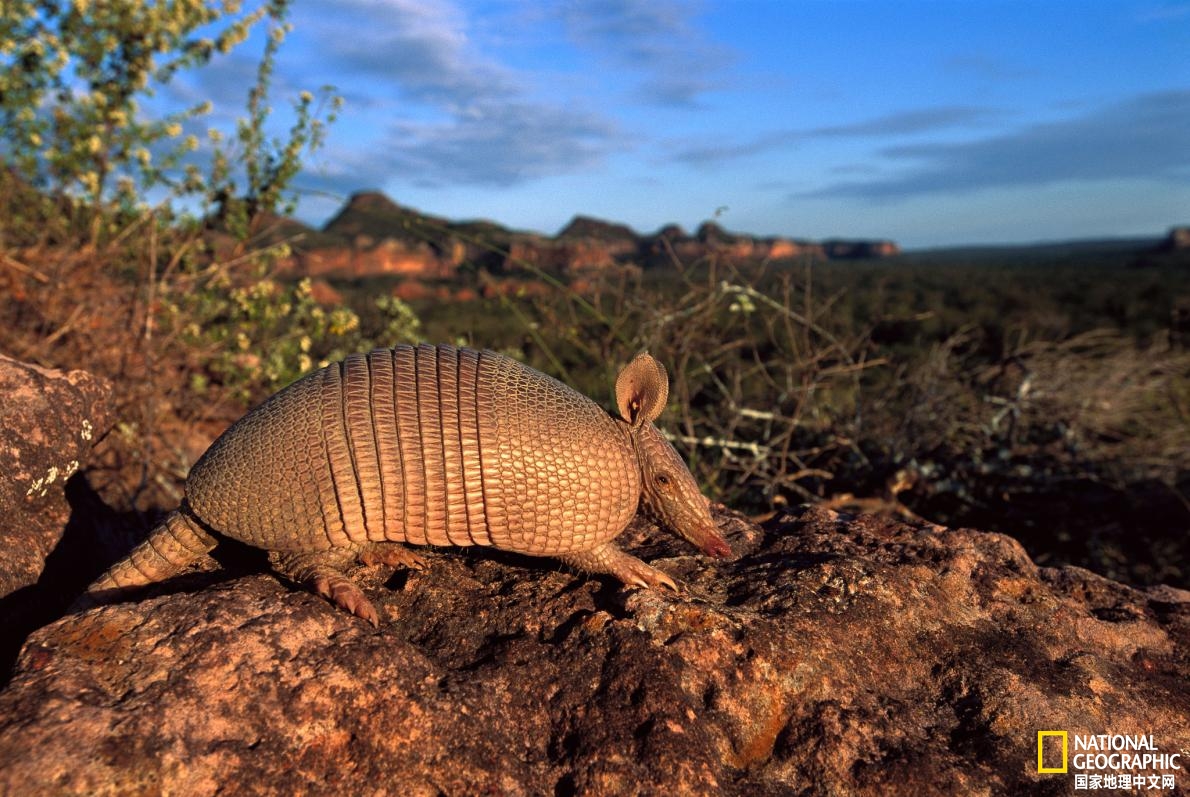 2020年不可错过的美景,2023年必去的旅行