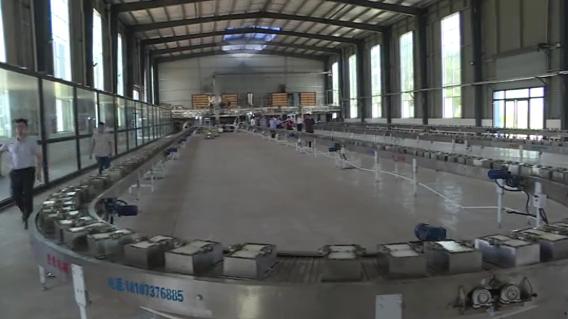 信阳茶叶产业体系,信阳茶联盟现状