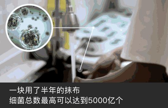 海绵百洁布强力清洁厨房洗碗神器,洗碗海绵去污百洁布