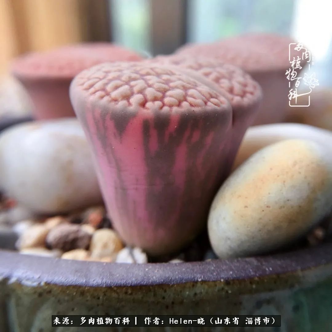 人到中年温暖如初,人到中年岁月静好