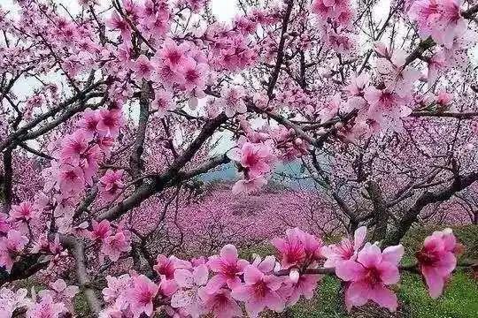 济南踏青旅游攻略,济南哪里的温泉适合带孩子去的