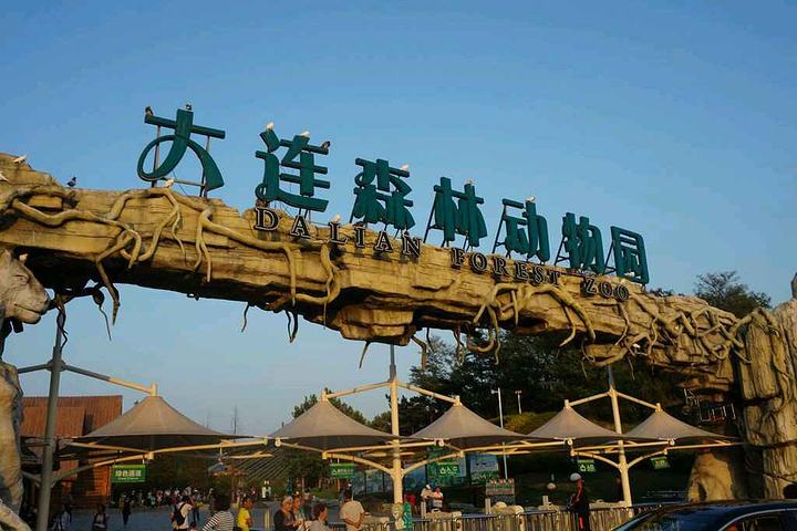 国内值得去的十大动物园,国内最值得去的动物园