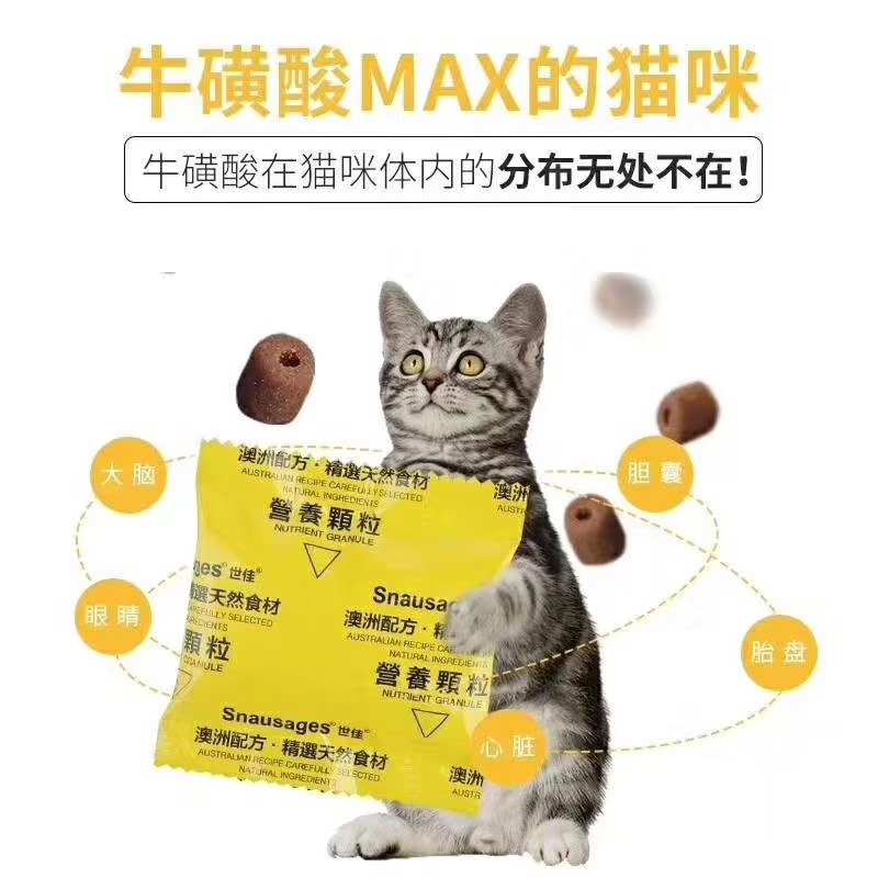 养猫养狗基本常识,养猫基本常识搞笑