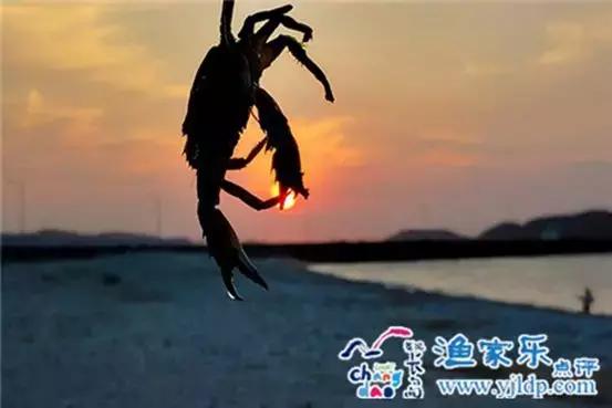 一瞥如希望中的憧憬,长岛乐驿陶的不同,是您忙碌后的期待!