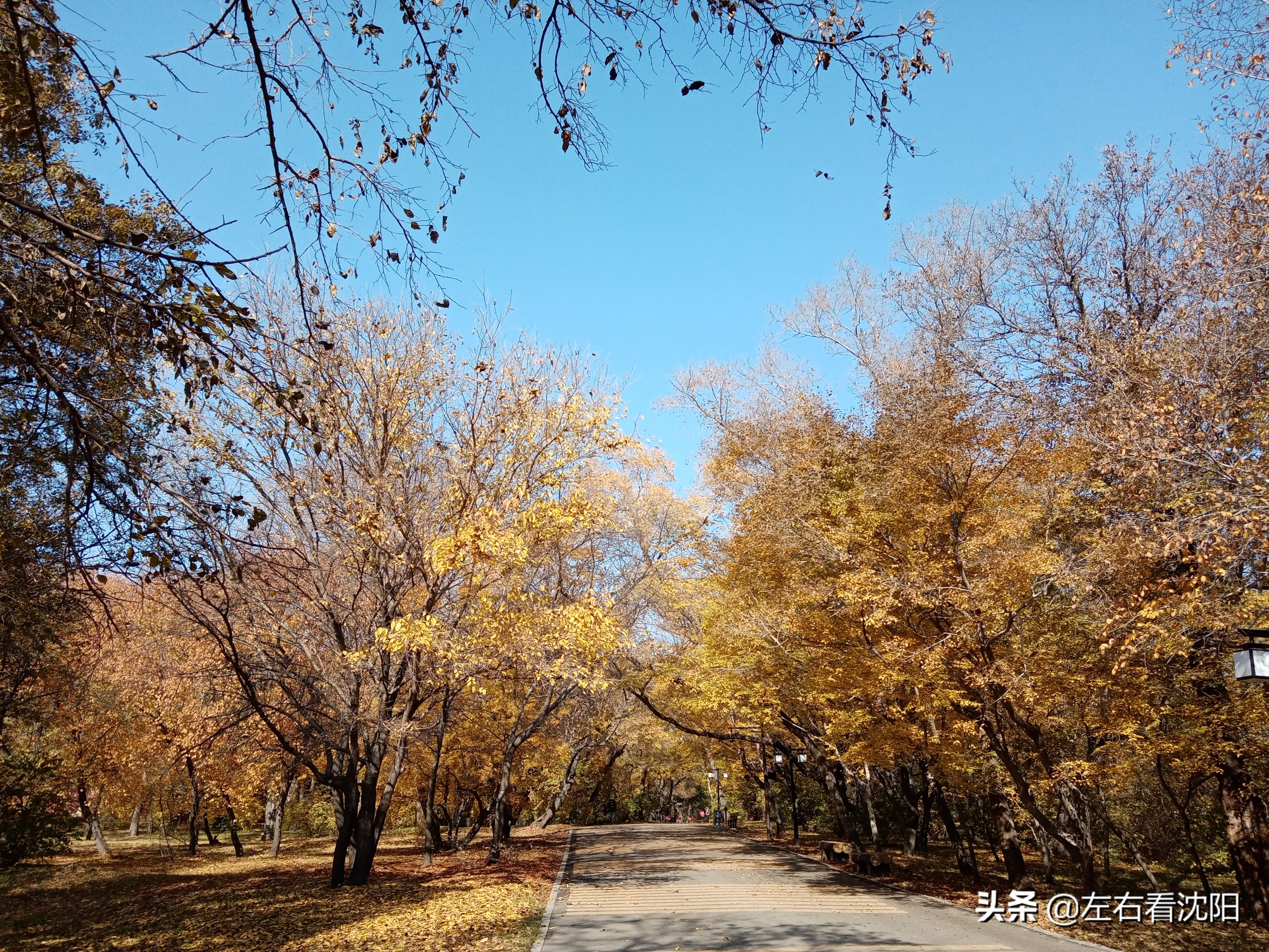 秋季沈阳北陵公园有啥好玩的,漫步沈阳北陵公园湖水边