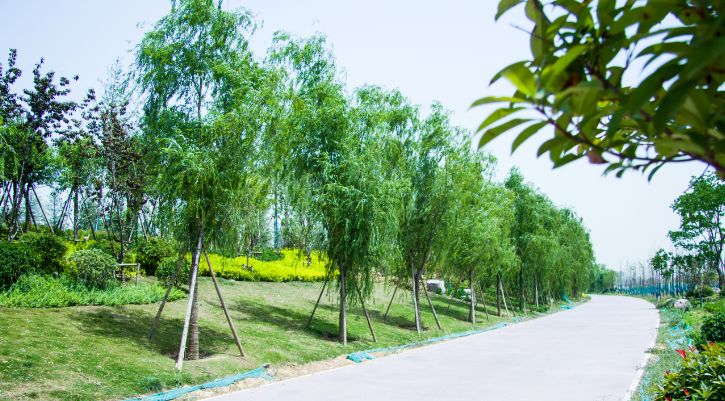 一条流淌万年的母亲河,一条奔流的河穿城而过