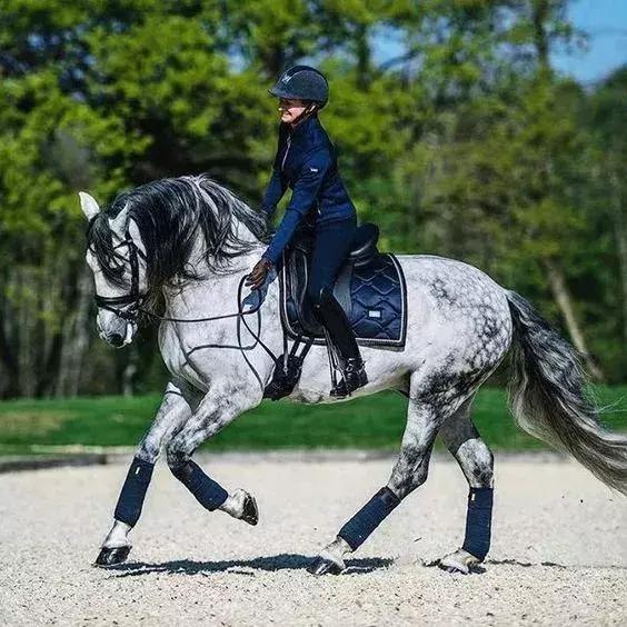 如何克服赛前紧张心情,如何克服赛前紧张