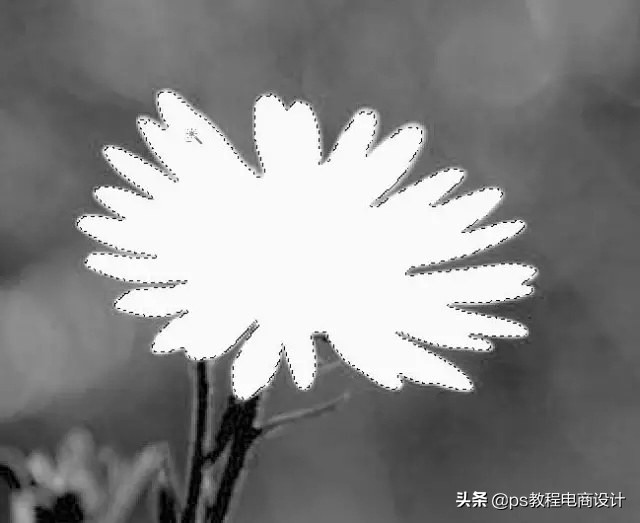 快速抠图ps人物头发,2021版ps快速抠图