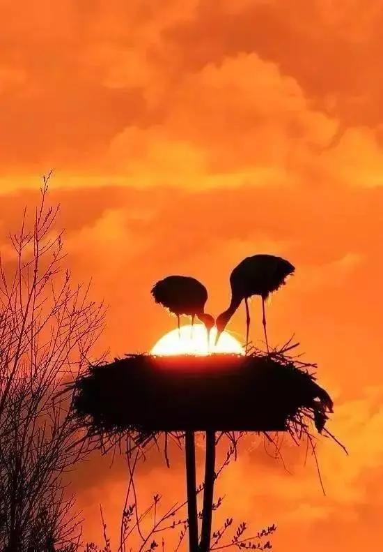 人是为爱而生也是为爱而伤,人是因平等而相爱