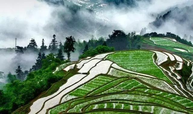 江西客家有哪些地方,江西有哪些地方是客家