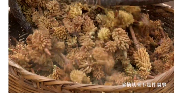 松花饼吃着有松花粉的味道吗,松花粉糯米饼