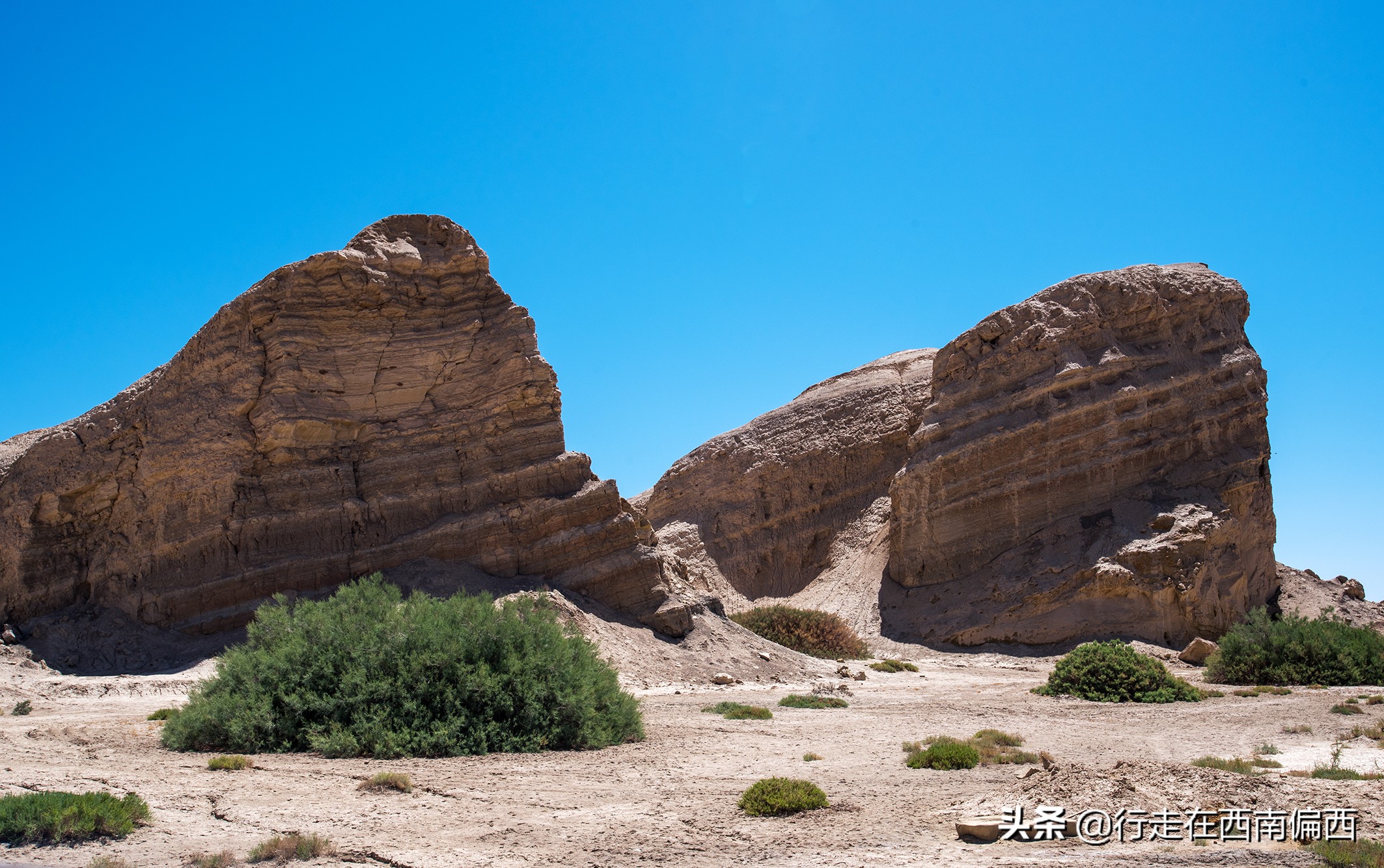 海子面朝大海春暖花开德令哈,德令哈面朝大海春暖花开