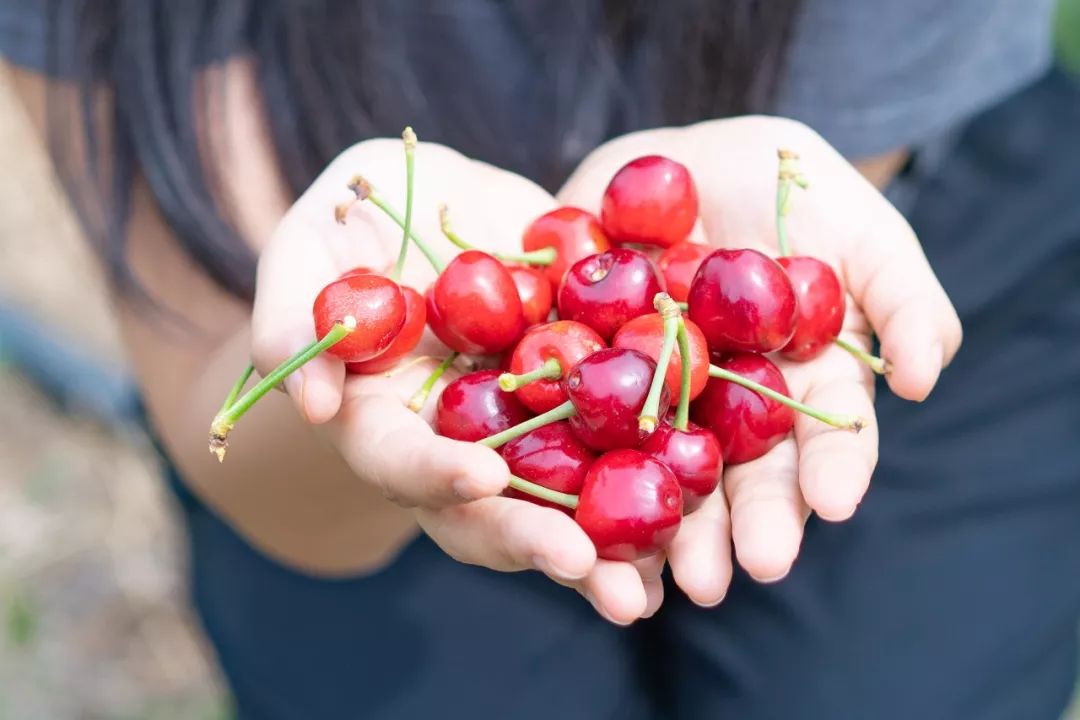 蓬莱美如画,蓬莱美景