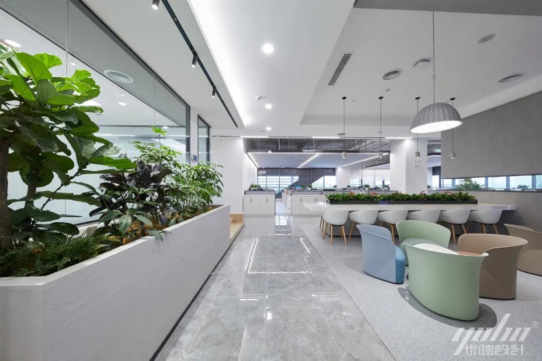 办公室植物墙装修,办公室装修什么墙最好