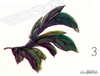 国画技法简单易学的写意牡丹,国画最简单牡丹画法教学视频