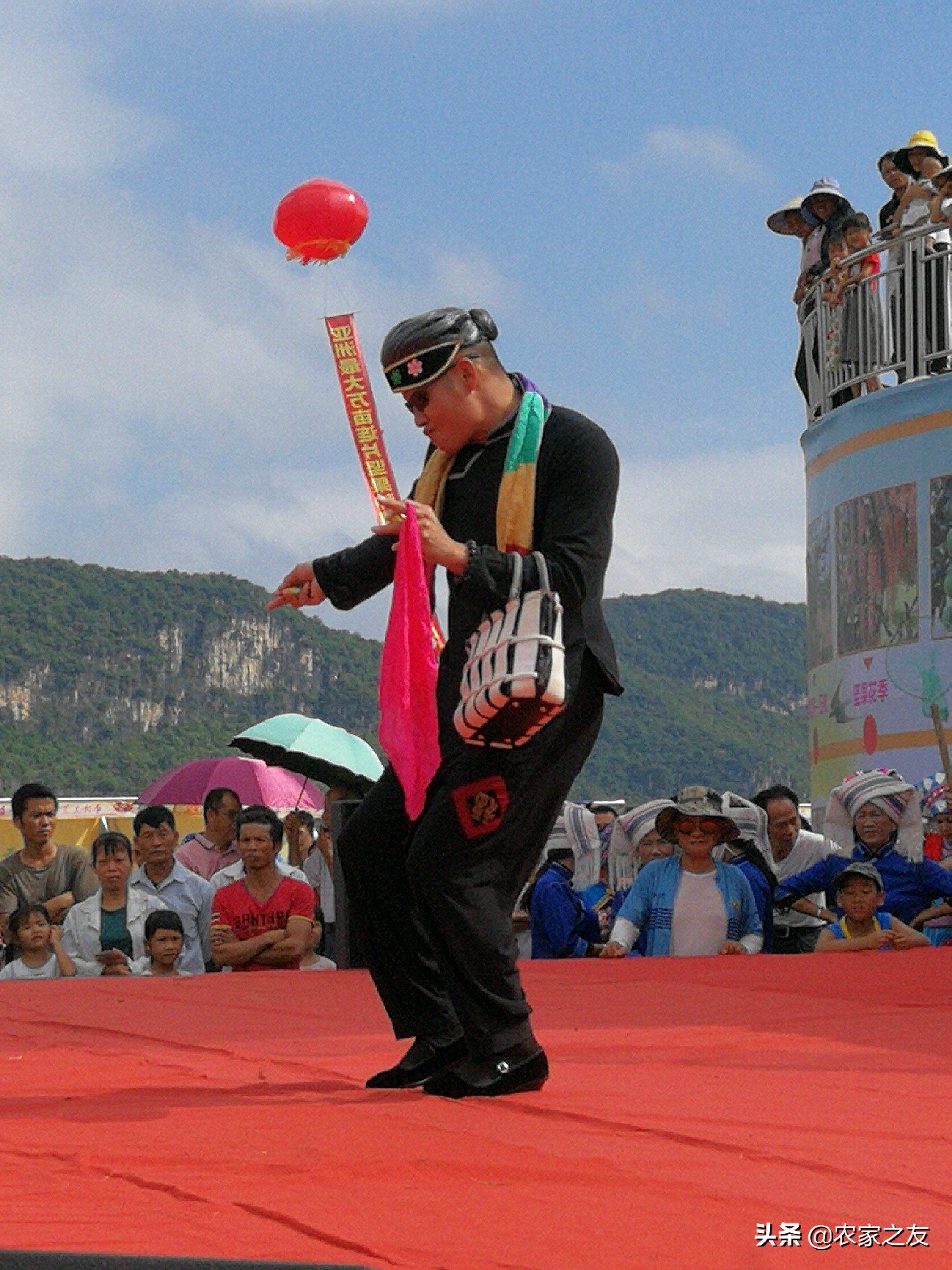 扶绥县昌平坚果苗,扶绥昌平坚果种植基地