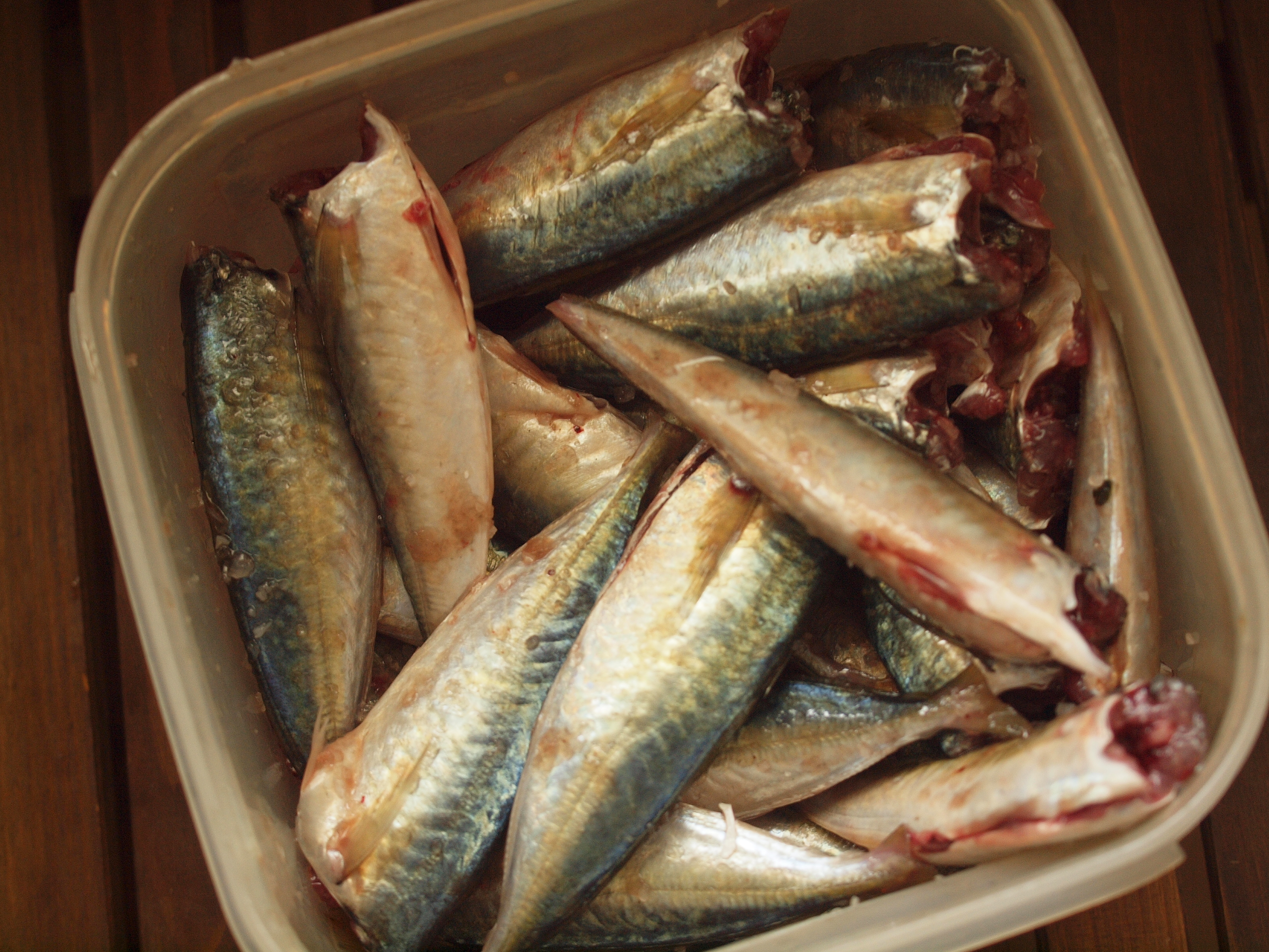 巴浪鱼能煮干饭吗,巴浪鱼做成咸鱼好吃吗