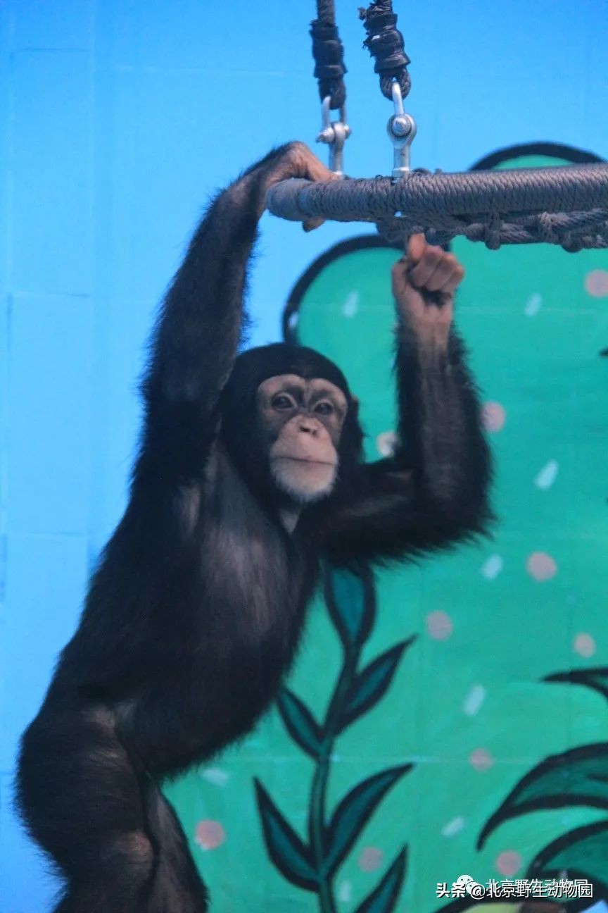 我的“欧慨”找不到啦