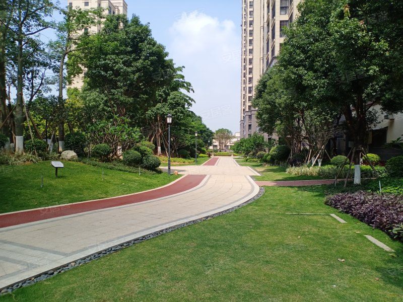 环东海域学区房目前值得入手吗,一夜之间暴涨的房子