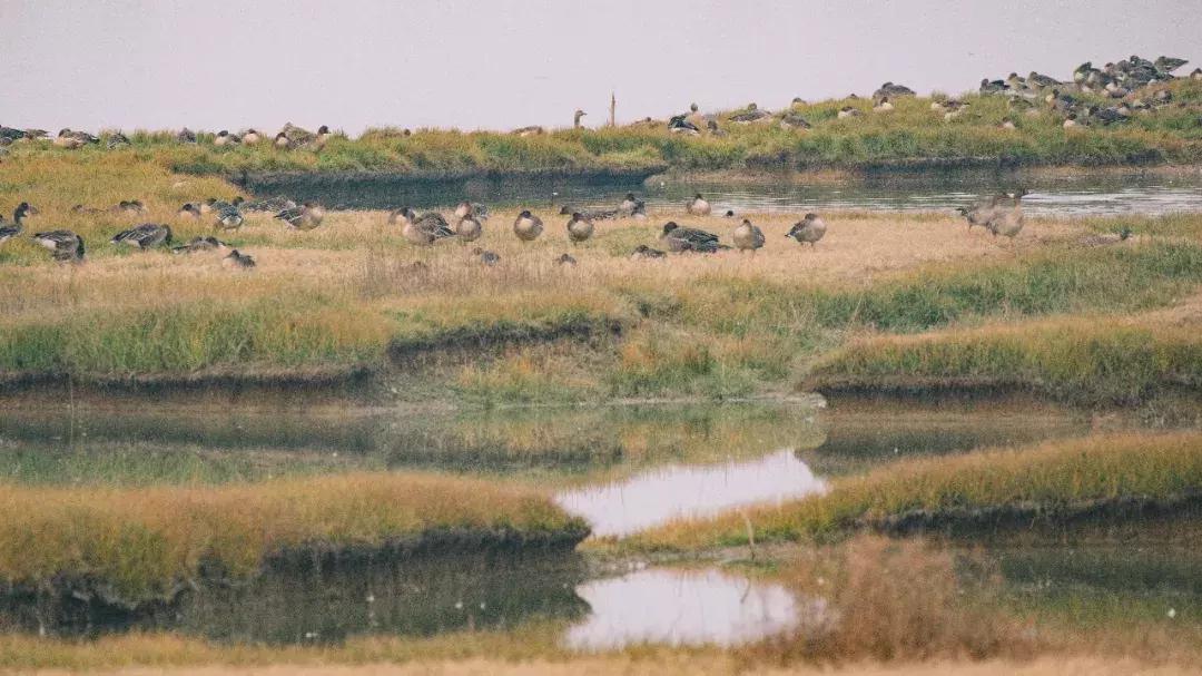 武汉最新古与潮室内网红打卡点,武汉周边新晋7大网红打卡地