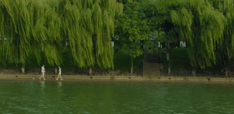 我的十大电影,各年度优秀的电影