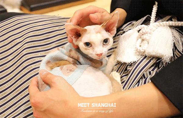 上海网红汤泉馆,1元泡汤泉