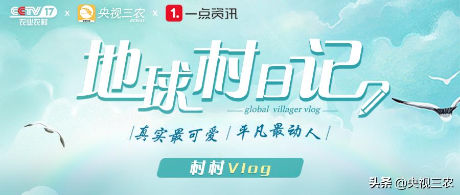 国宴汽锅鸡的做法,国宴名菜原汁原味汽锅鸡