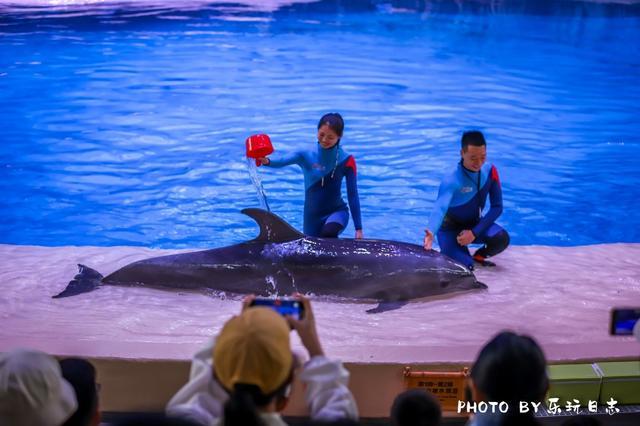 来珠海旅游必打卡的景点,春节珠海亲子游玩地方推荐