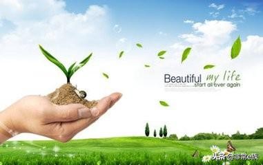 小学1-6年级成语大全及解释例句,小学1-6年级语文课本所有成语