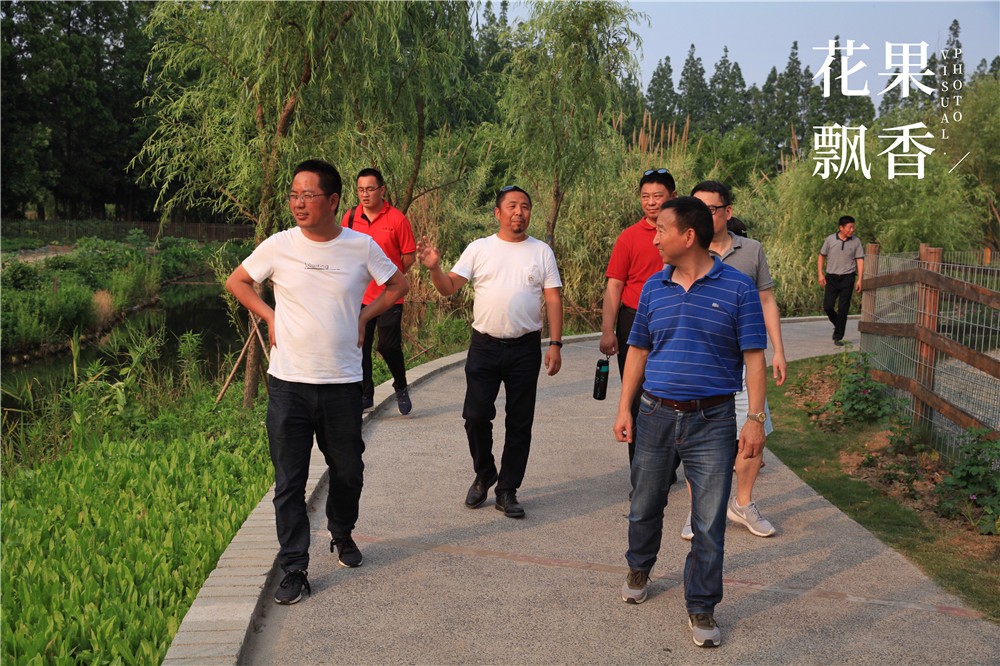 卖文化,卖创意,这家以柑橘为主题的农场好不正经