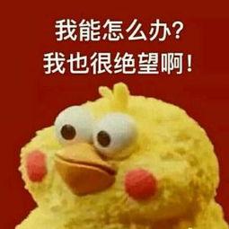 超越年度爱用,不挑肤质拯救熬夜通宵脸的彩妆单品