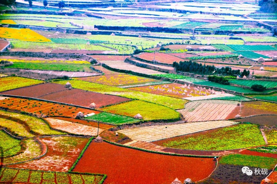 周游西南随记（六）弥蒙的万峰林