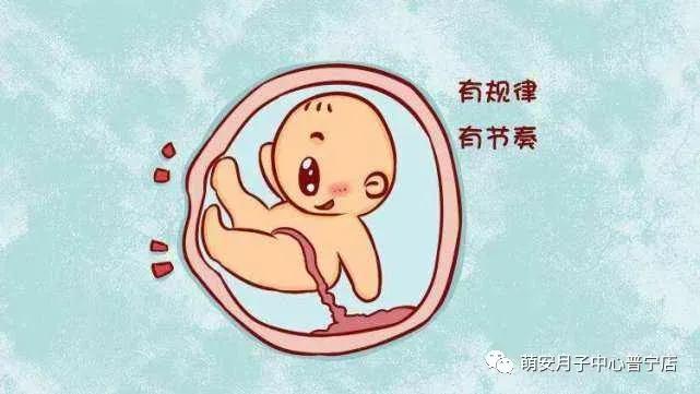 孕期小知识最新更新,孕期小知识视频