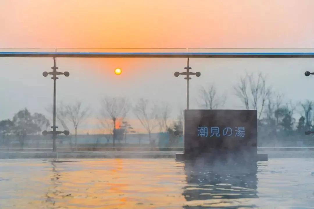 青岛胶南红树林旅游景点,西海岸红树林度假世界